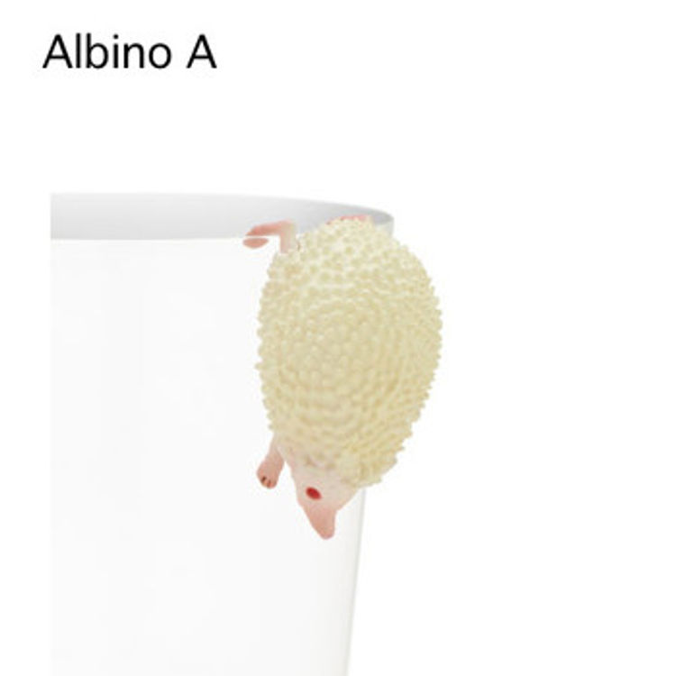 Putitto Hedgehog: Albino A by Kitan