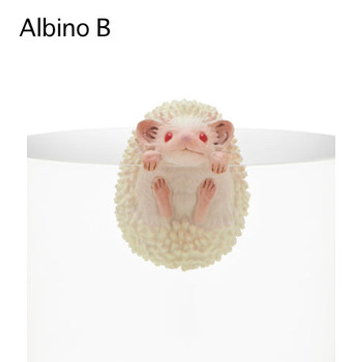 Putitto Hedgehog: Albino B