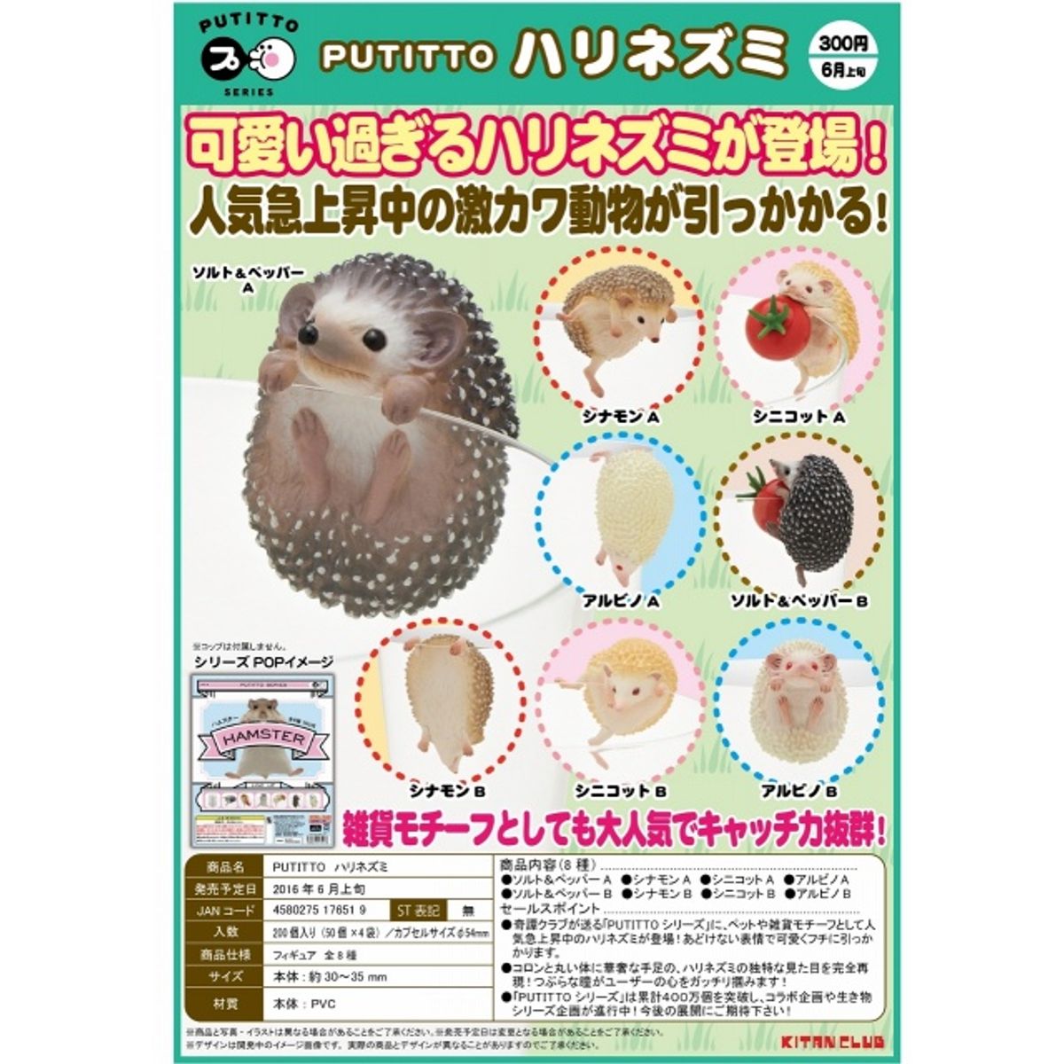 Putitto Hedgehog: Albino B