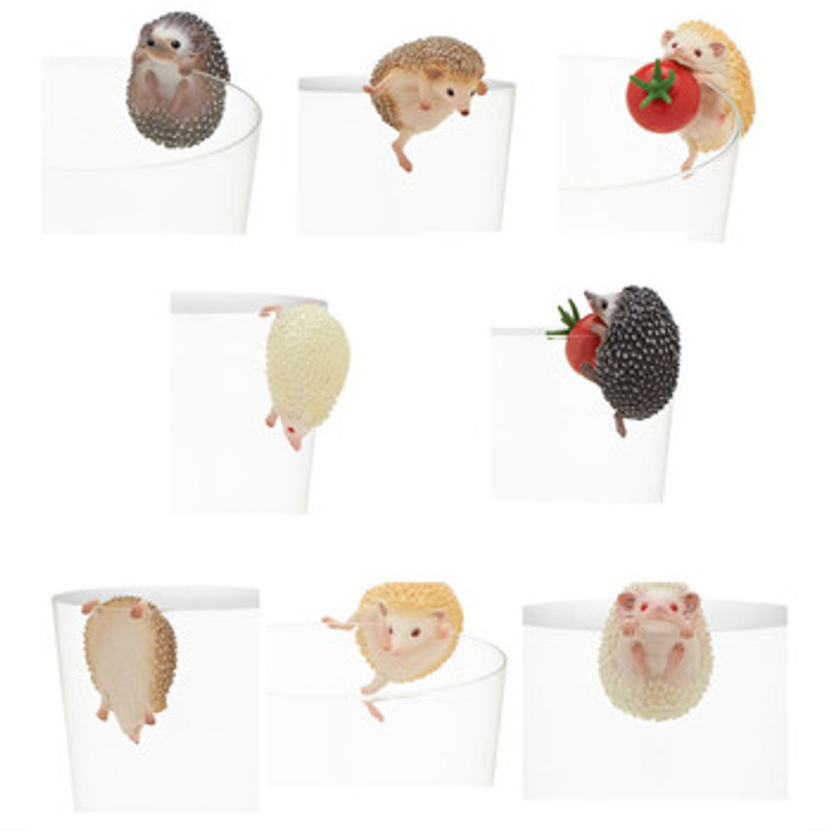 Putitto Hedgehog: Albino B