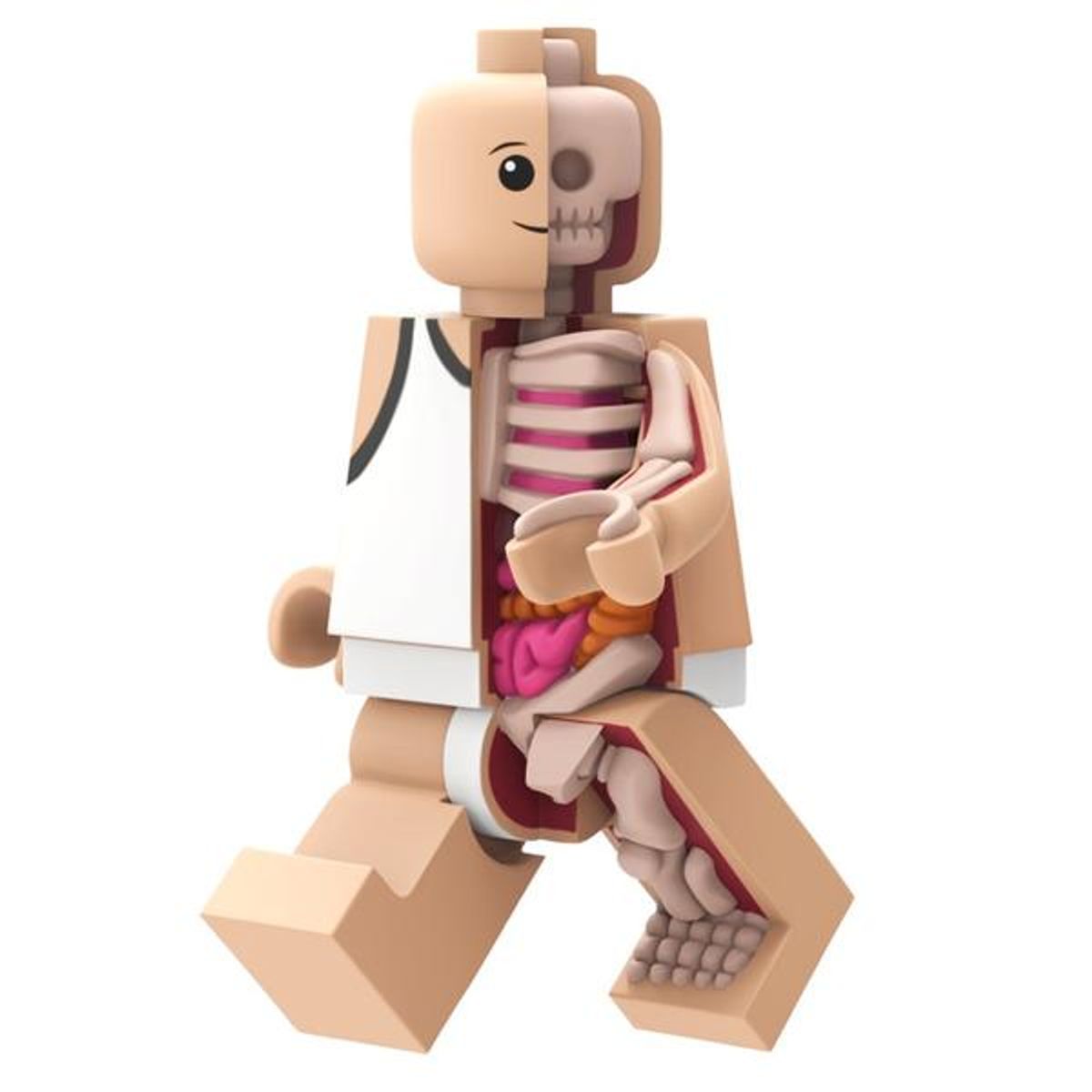 Anatomic - 400%