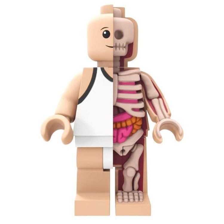 Anatomic - 400% by Jason Freeny
