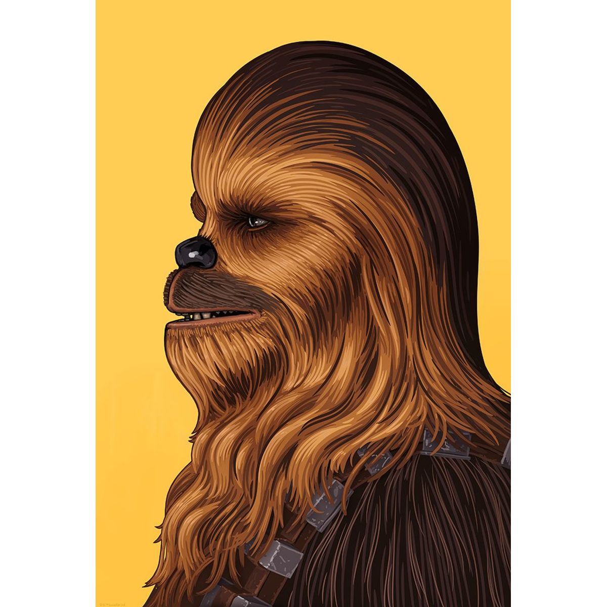 Chewbacca