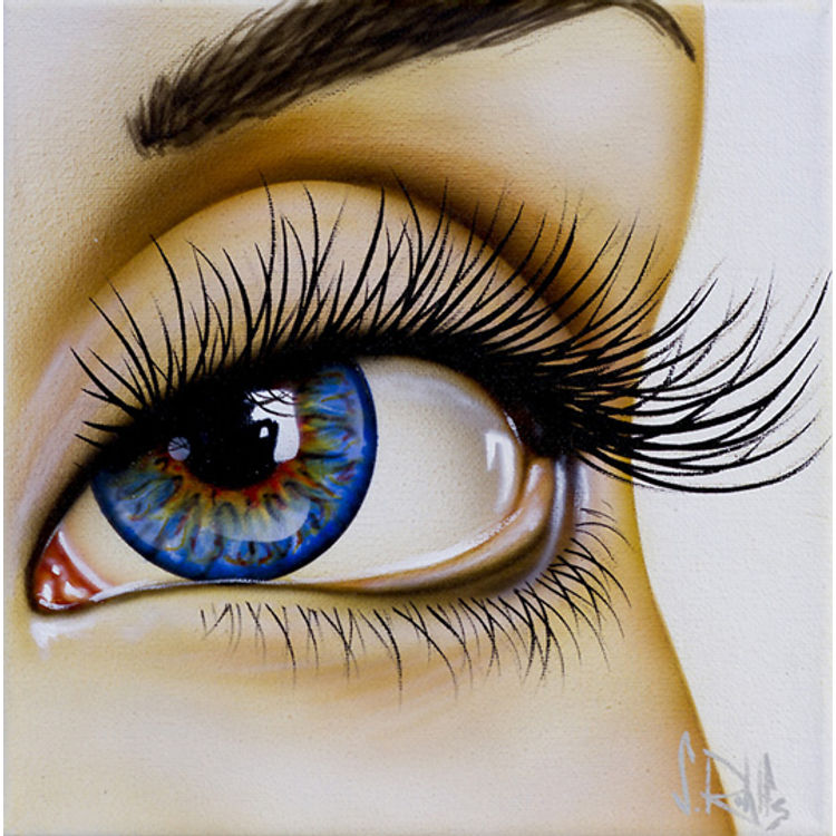 The View by Scott Rohlfs
