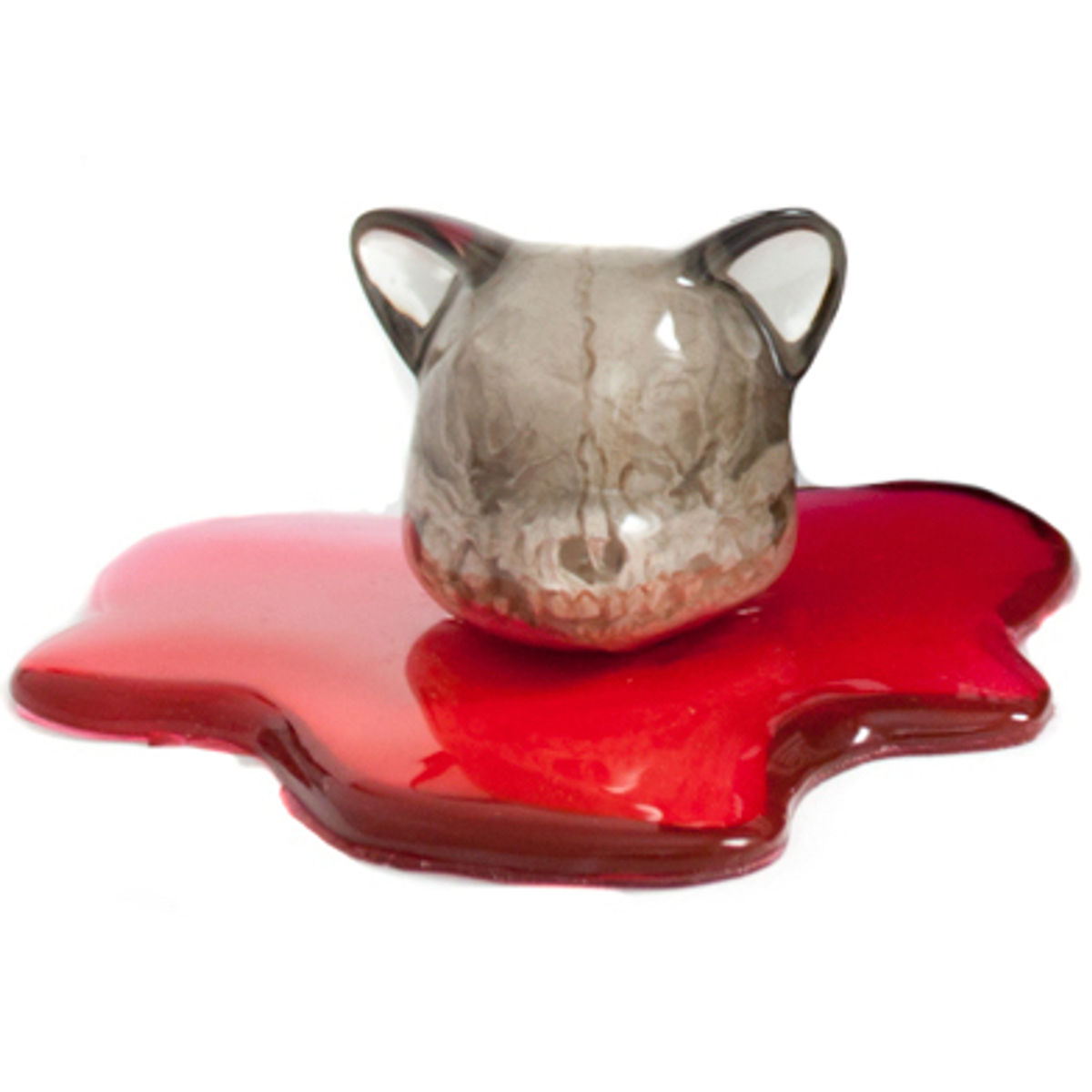 Decapitated Bear Head