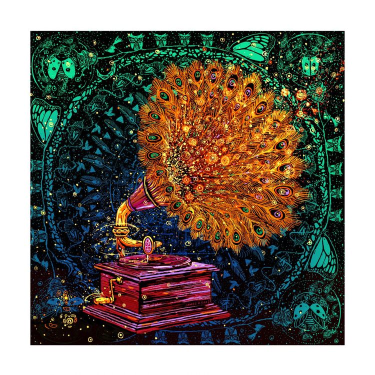 The Goldfeather Player by James Eads
