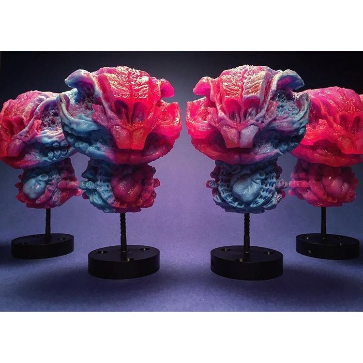 Dunny Skeleton - Pink/Blue by Scott Wilkowski