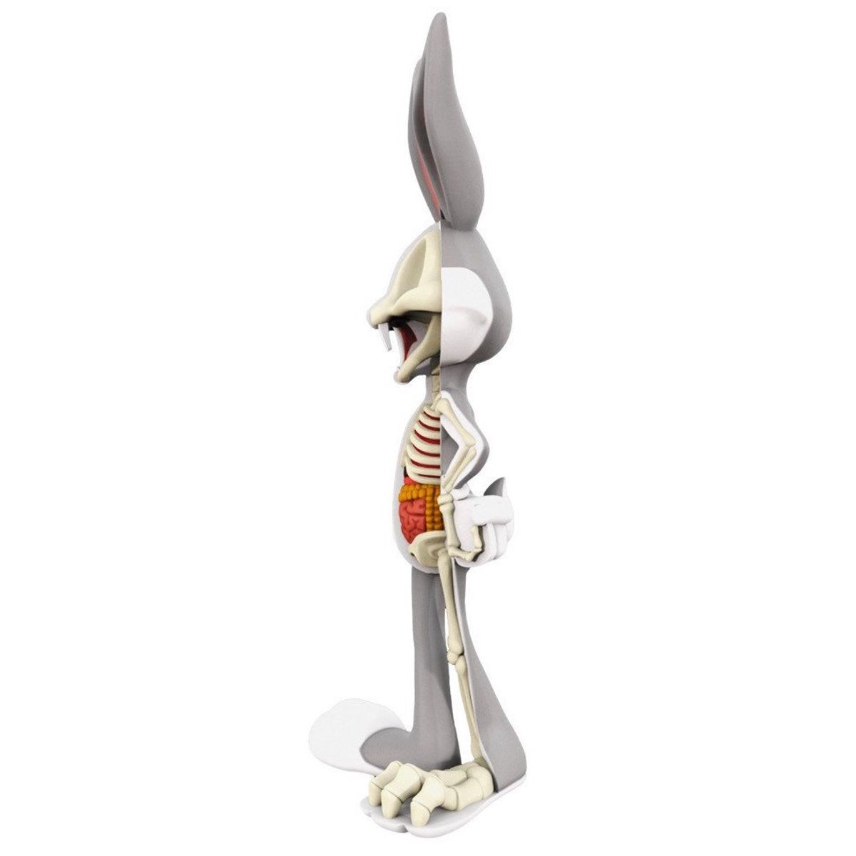 XXRay - Bugs Bunny