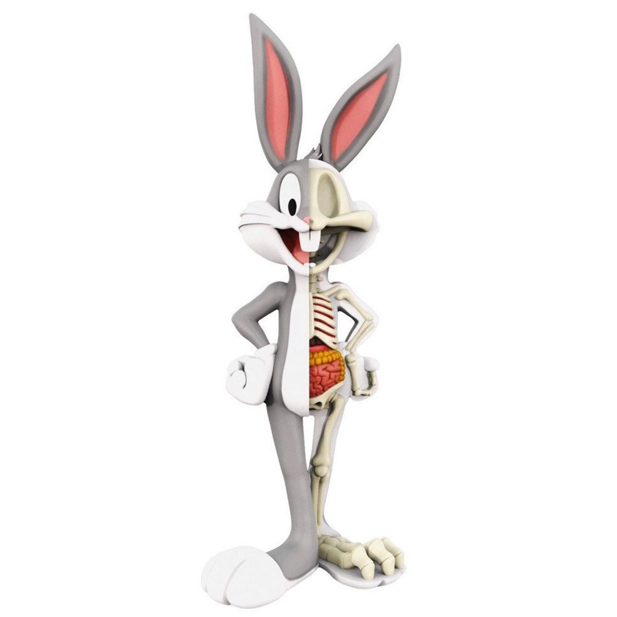 XXRay - Bugs Bunny