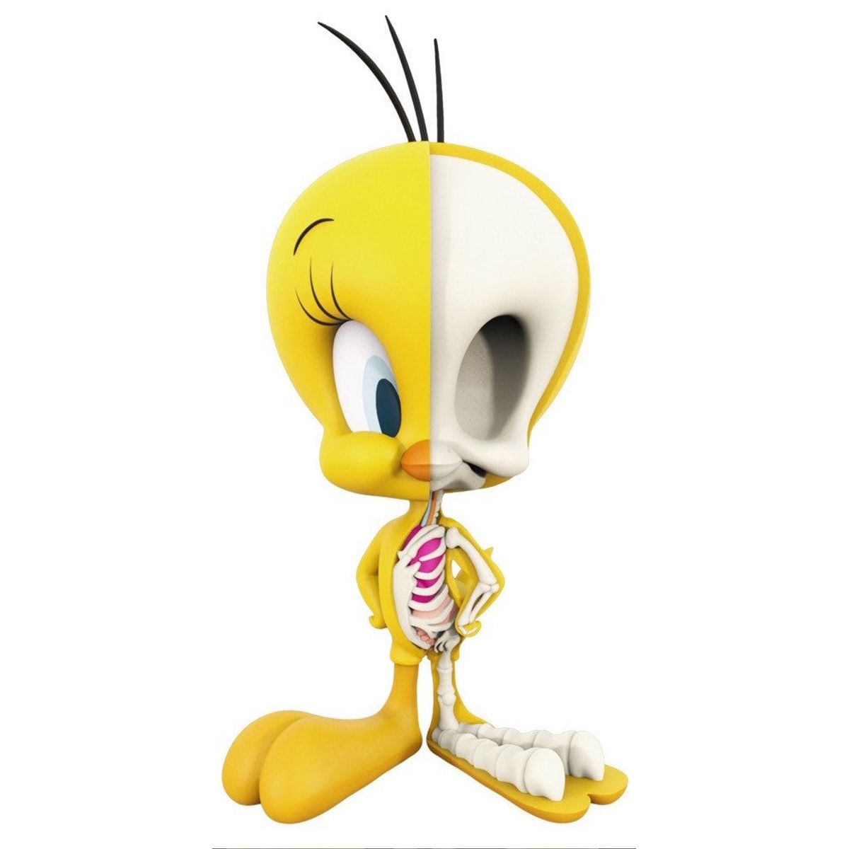 XXRay - Tweety Bird