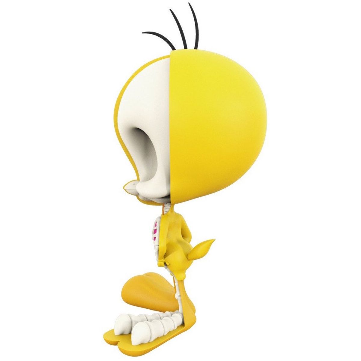 XXRay - Tweety Bird