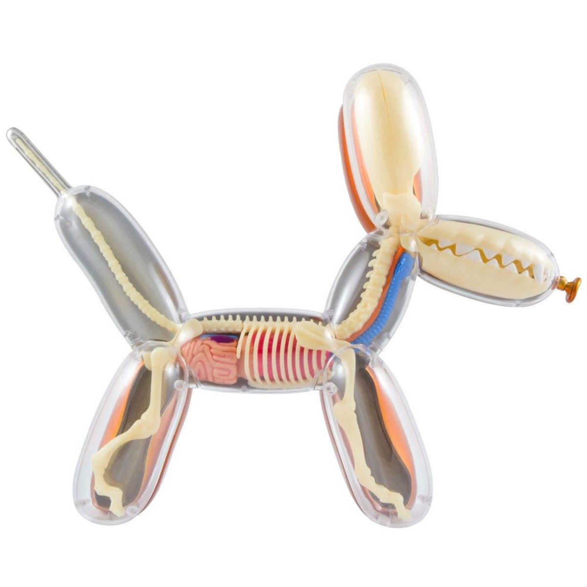 Balloon Dog Anatomy Deep Persimmon