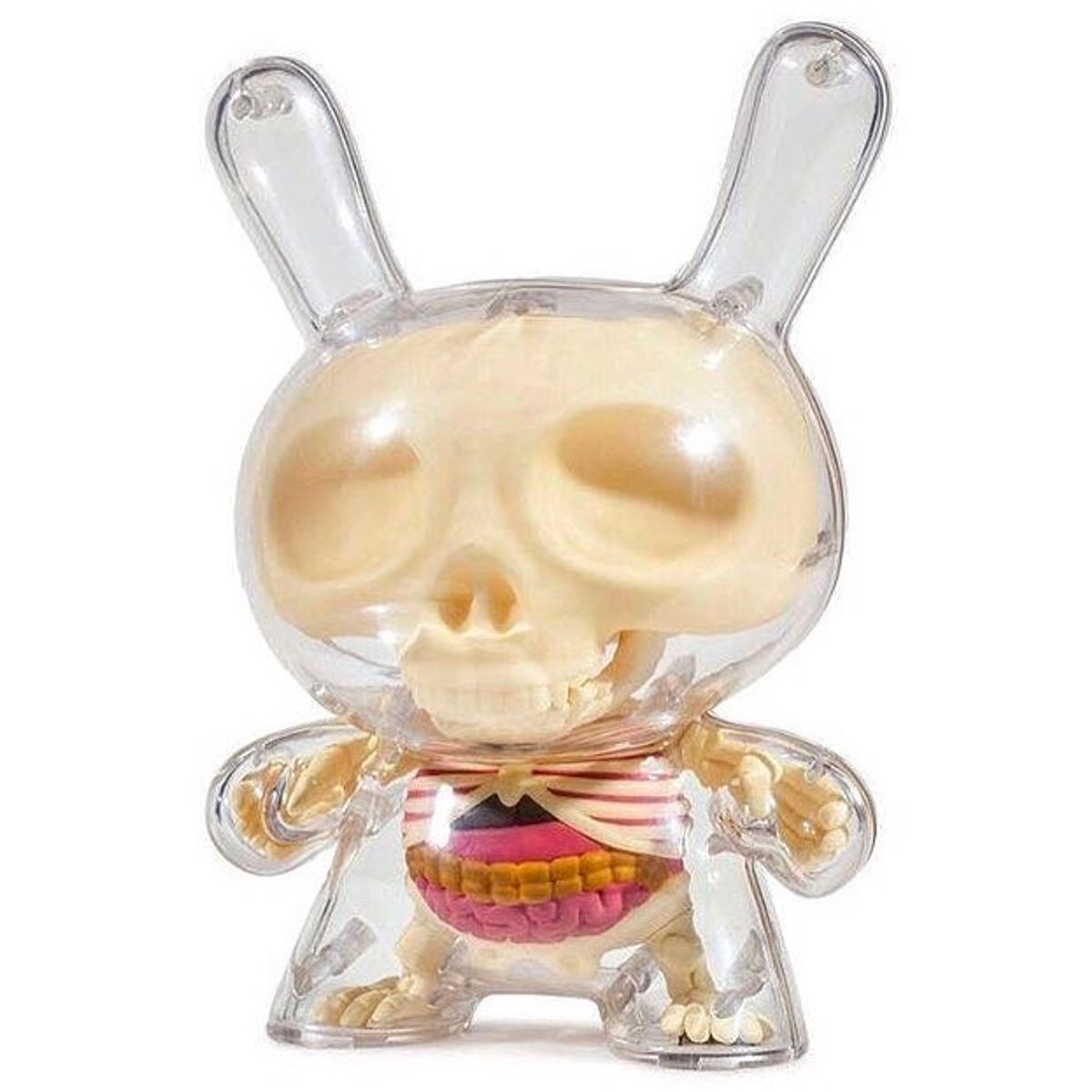 8" The Visible Dunny