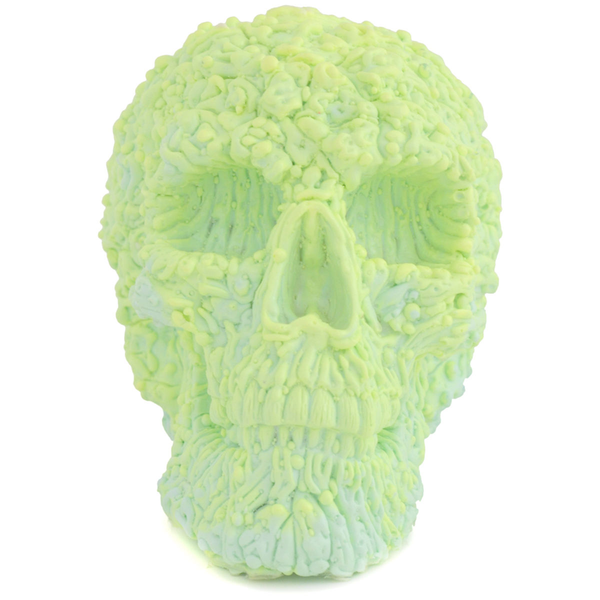 Lepreskar Skull