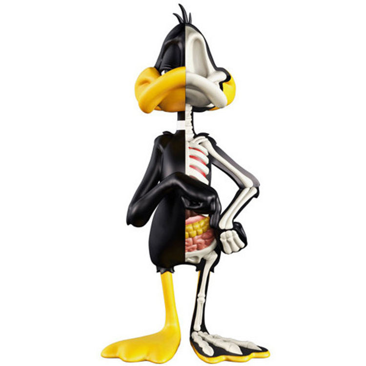 XXRay Looney Tunes - Daffy Duck by Jason Freeny