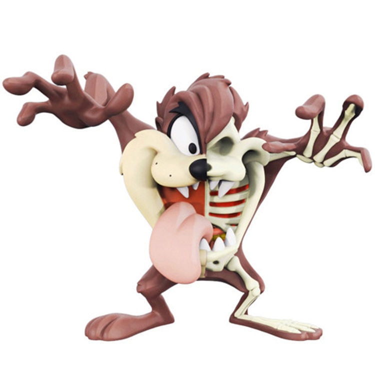 XXRay Looney Tunes - Tasmanian Devil by Jason Freeny