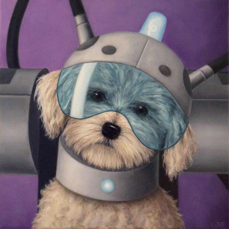 Where are my testicles, Summer? by Jessica Edwards