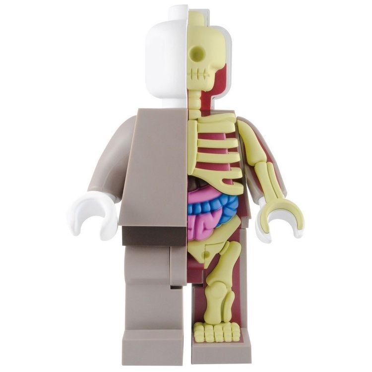 Anatomic Original Red - 400% by Jason Freeny