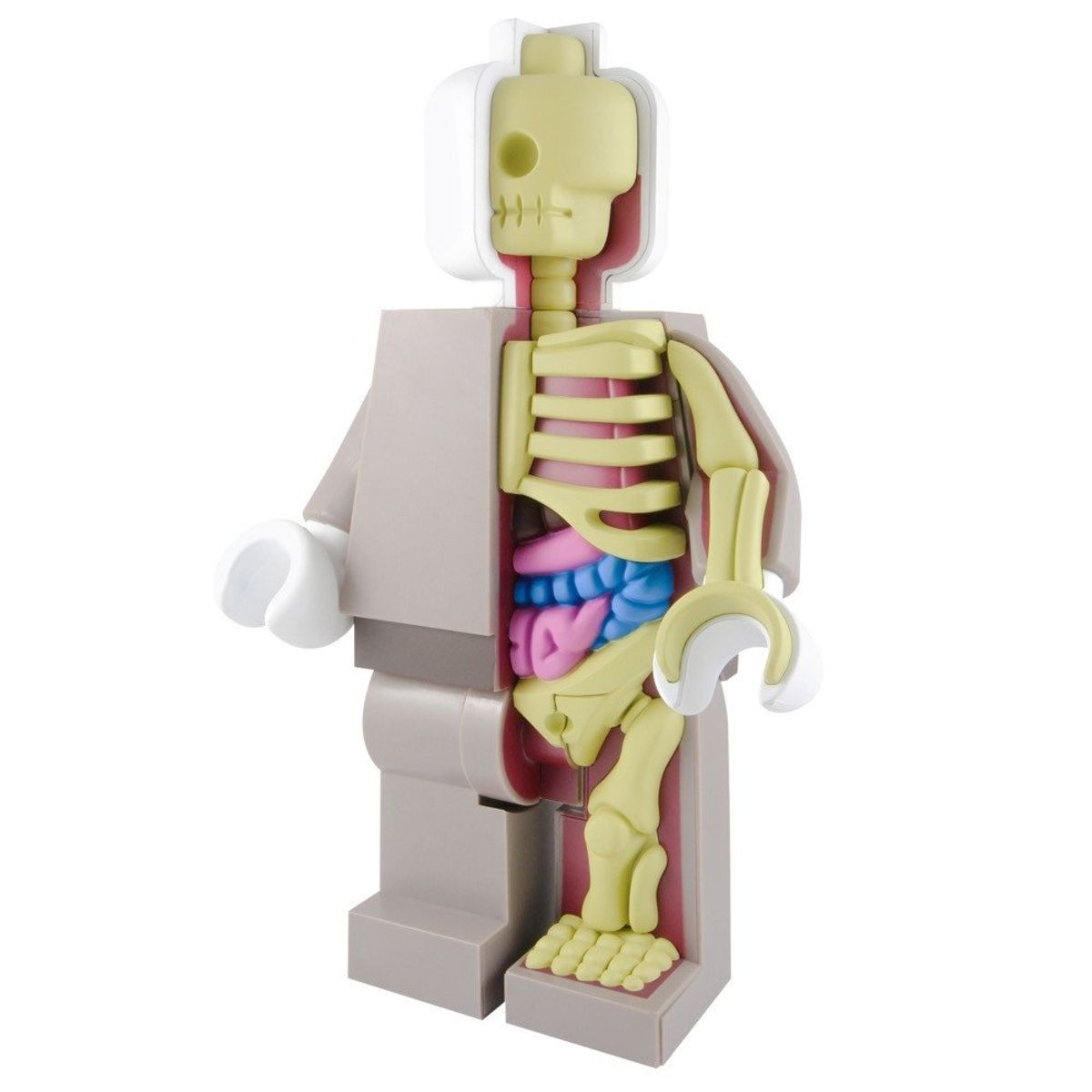 Anatomic Original Red - 400%