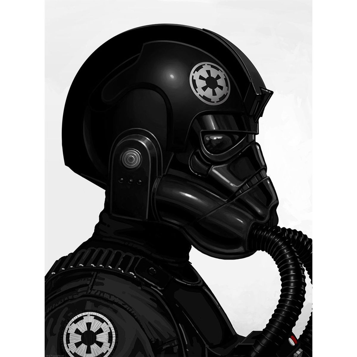 Tie Fighter Pilot