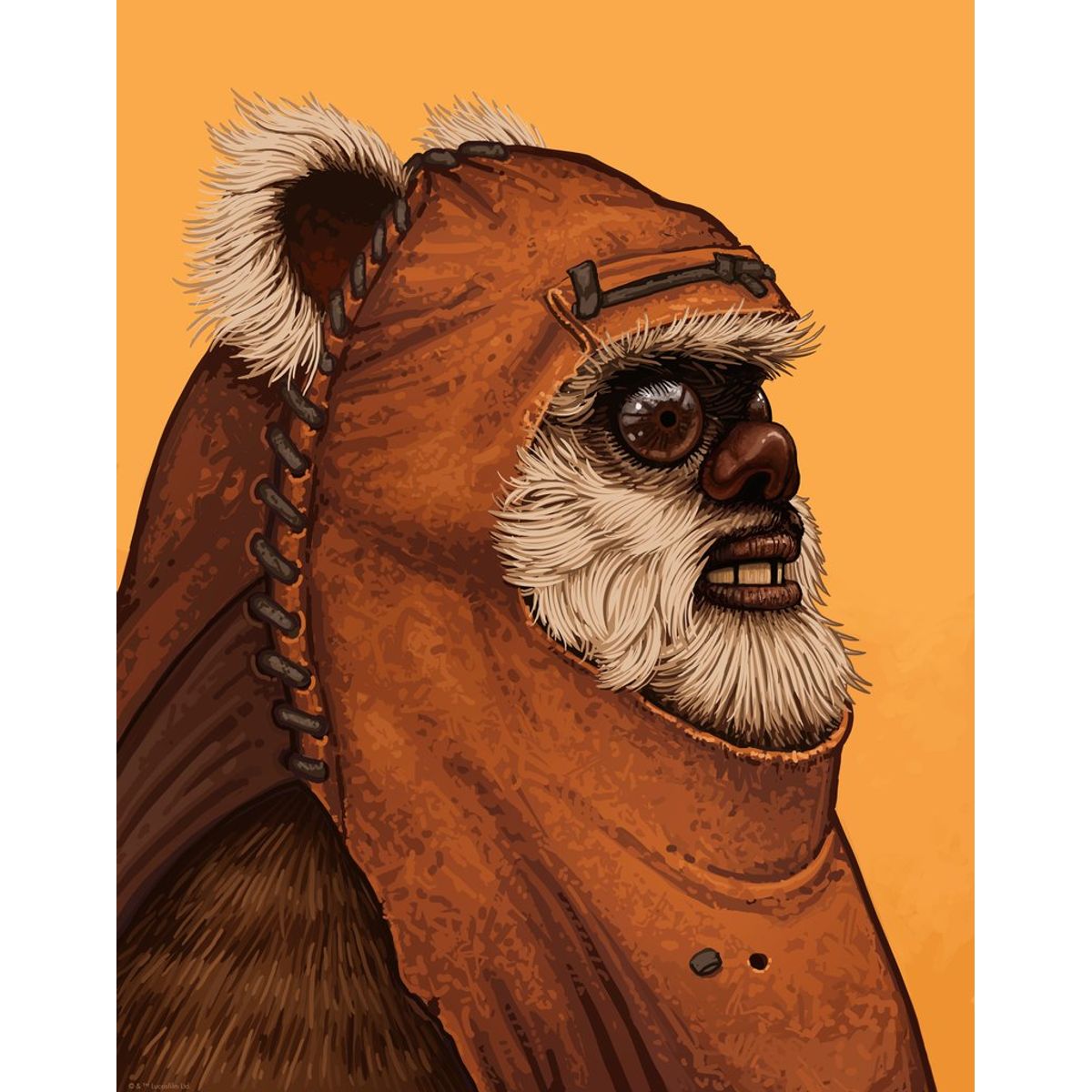 Wicket