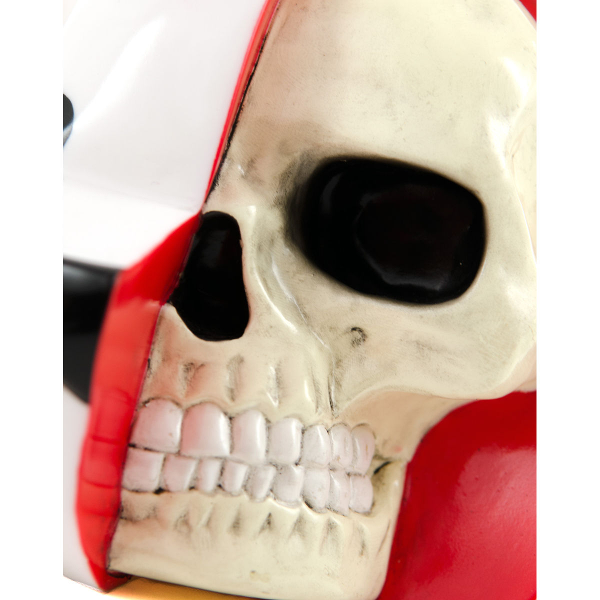 Dissected Bear Head (White)