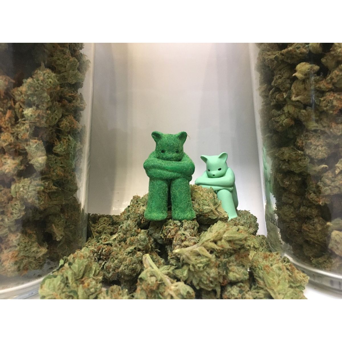 The Prisoner - Kuma Kush