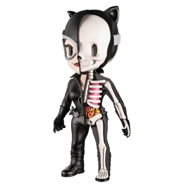XXRay - Catwoman by DC Comics
