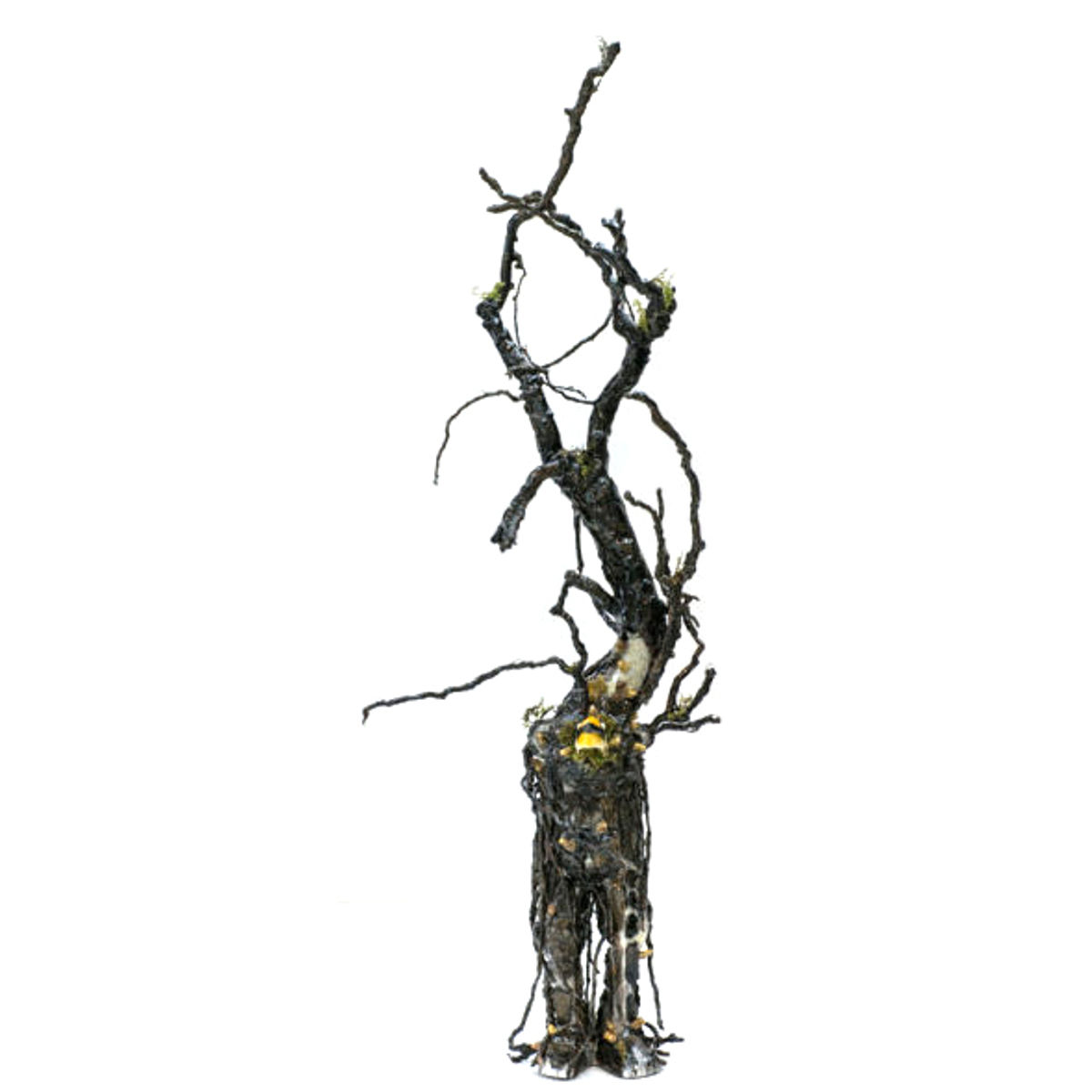 Old Man River Returns