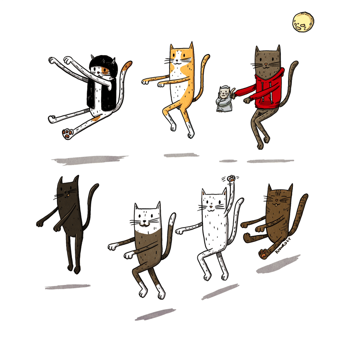 Cats on Invisible Bikes