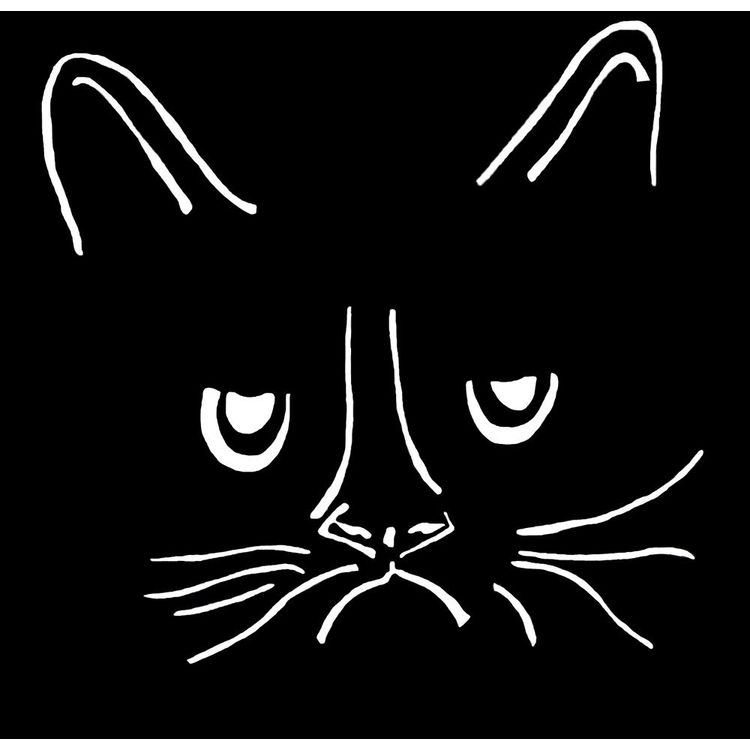 Grumpy Cat by Lily Idle