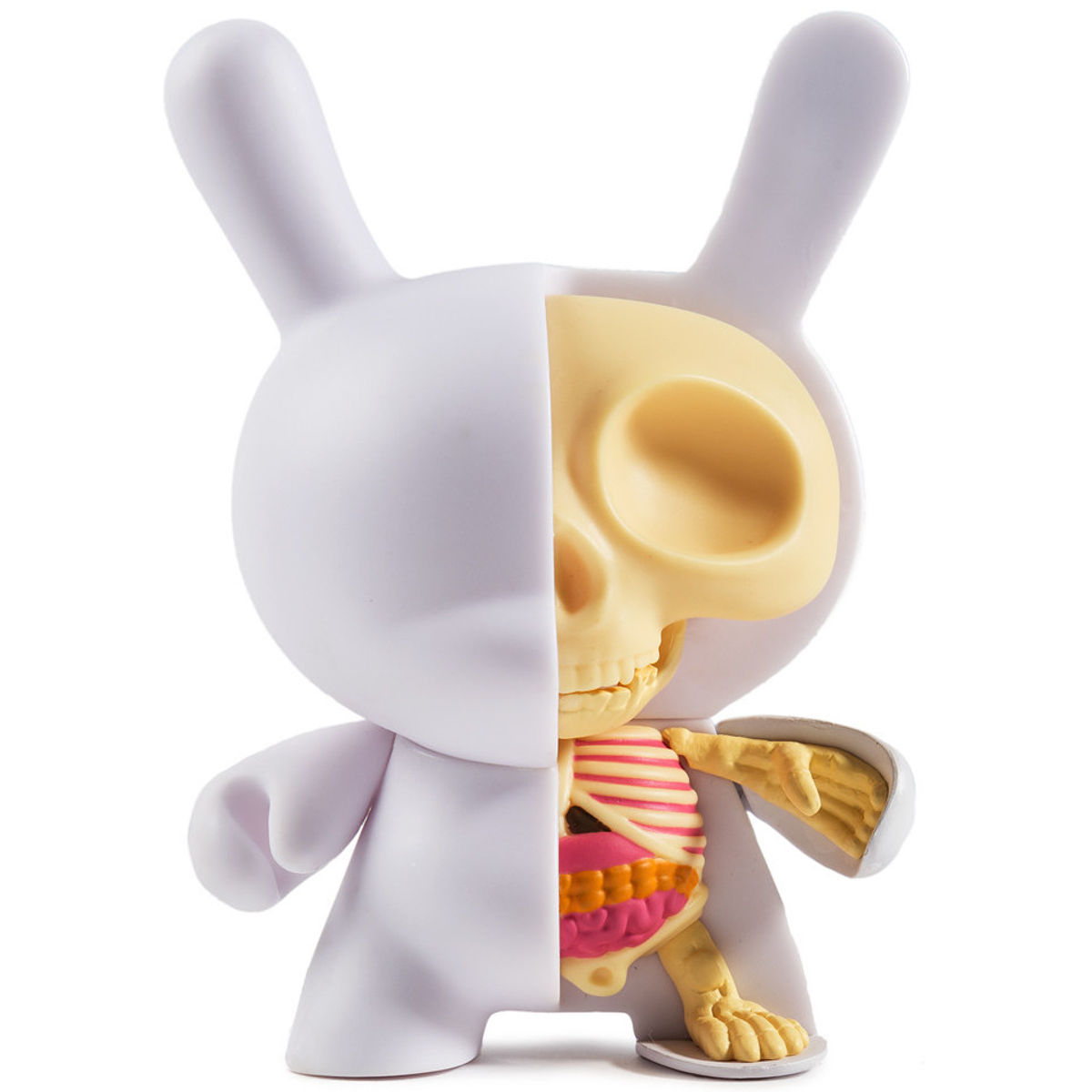 5" Half Ray Dunny