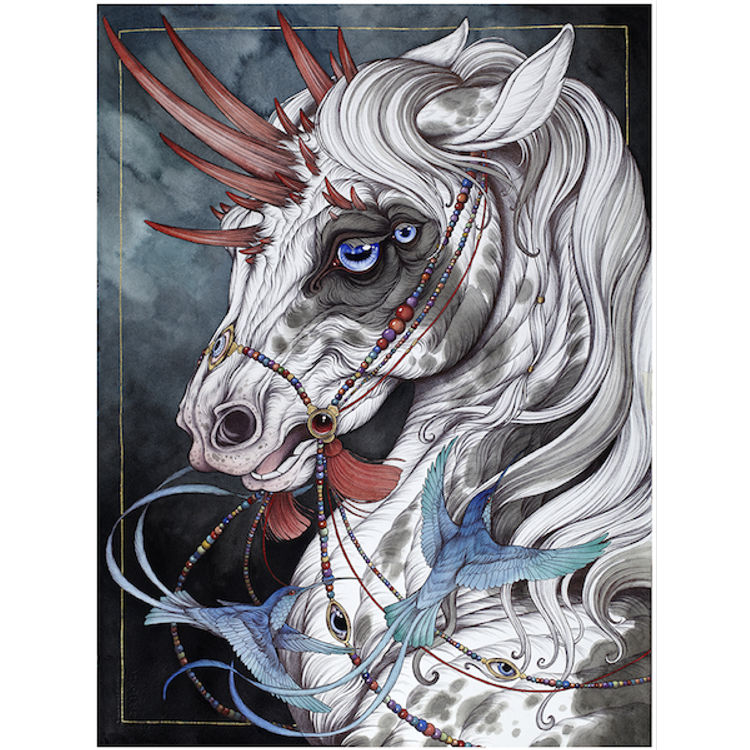 The Gift Horse by Caitlin Hackett