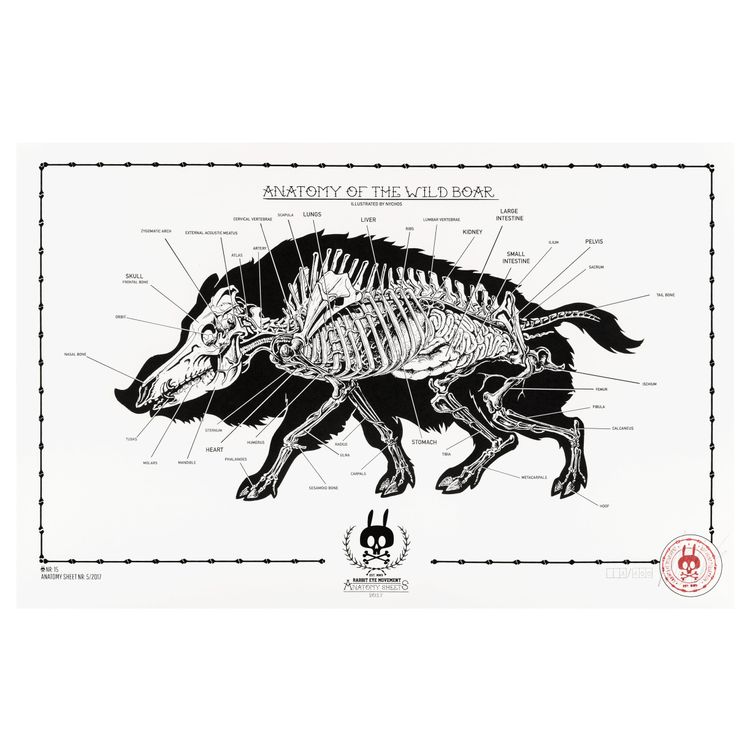 Anatomy of the Wildboar - No.15 by Nychos