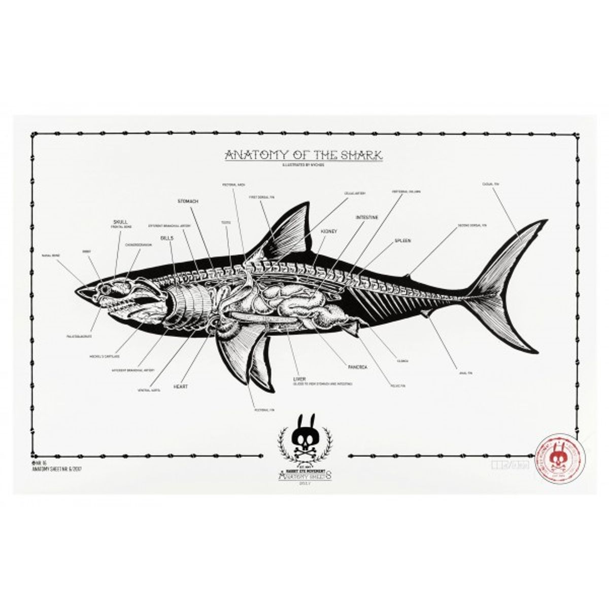 Anatomy of the Shark - No.16