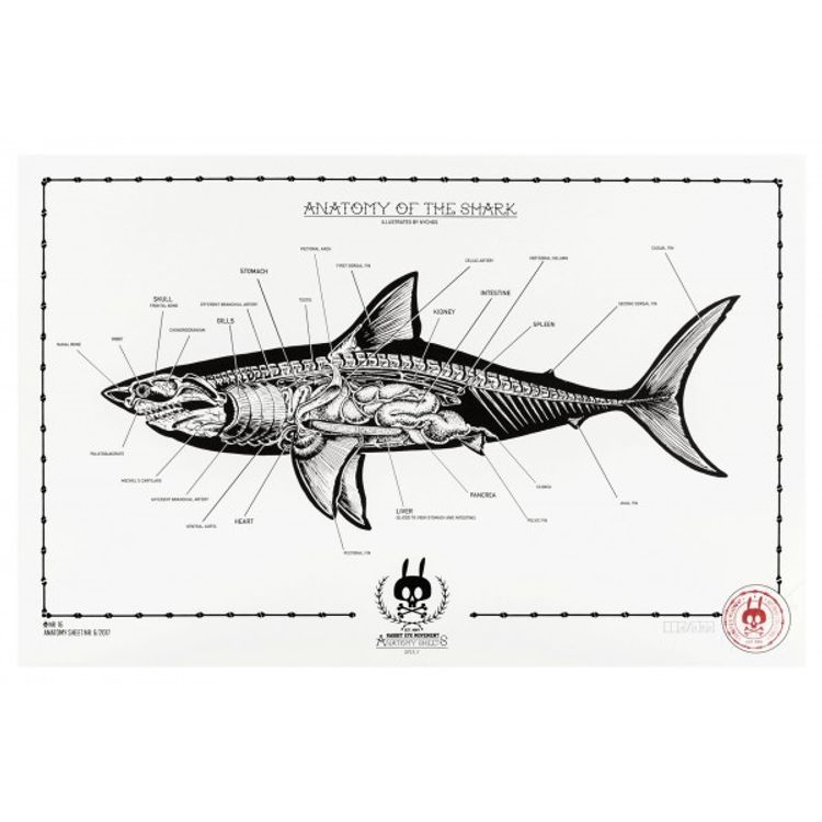 Anatomy of the Shark - No.16 by Nychos