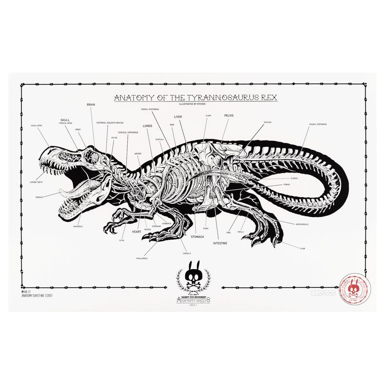 Anatomy of the Tyrannosaurus Rex - No. 17 by Nychos