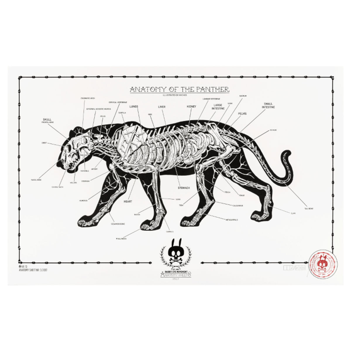 Anatomy of the Panther - No.13
