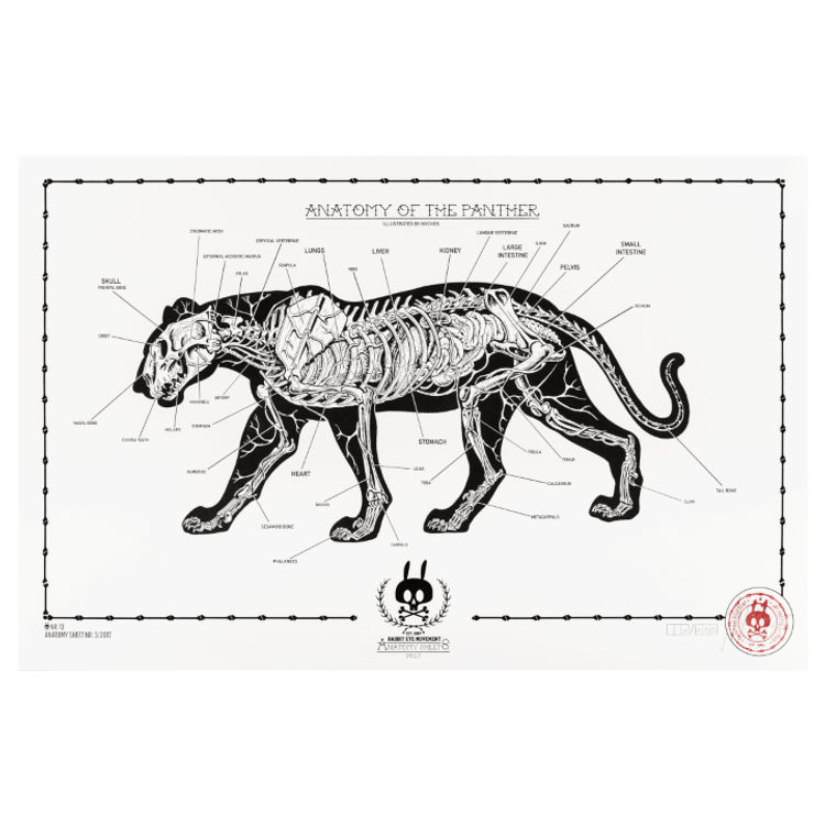 Anatomy of the Panther - No.13 by Nychos