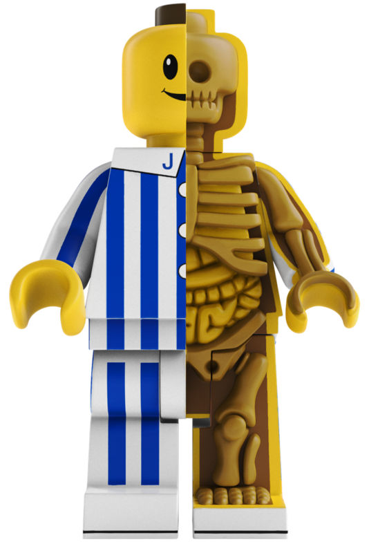 Overjoyed Bigger Micro Anatomic Original created by Jason Freeny