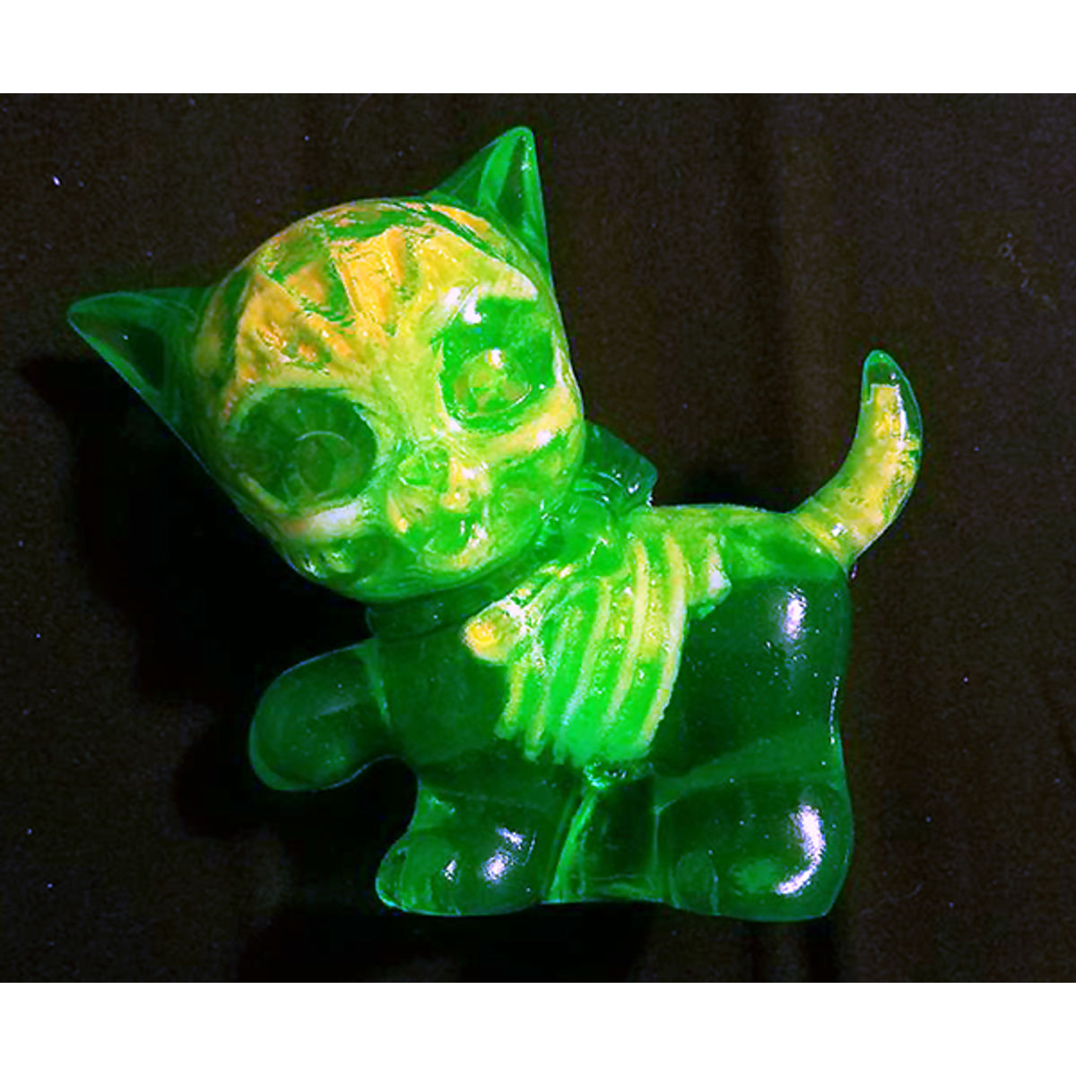 Kitten