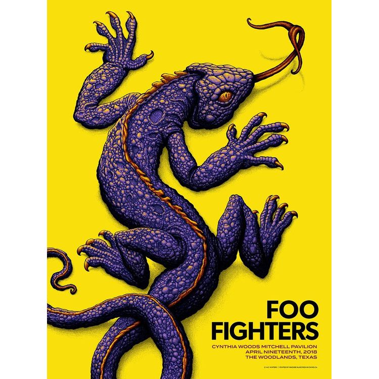 Foo Fighters - The Woodlands, TX - April 2018 by N.C. Winters