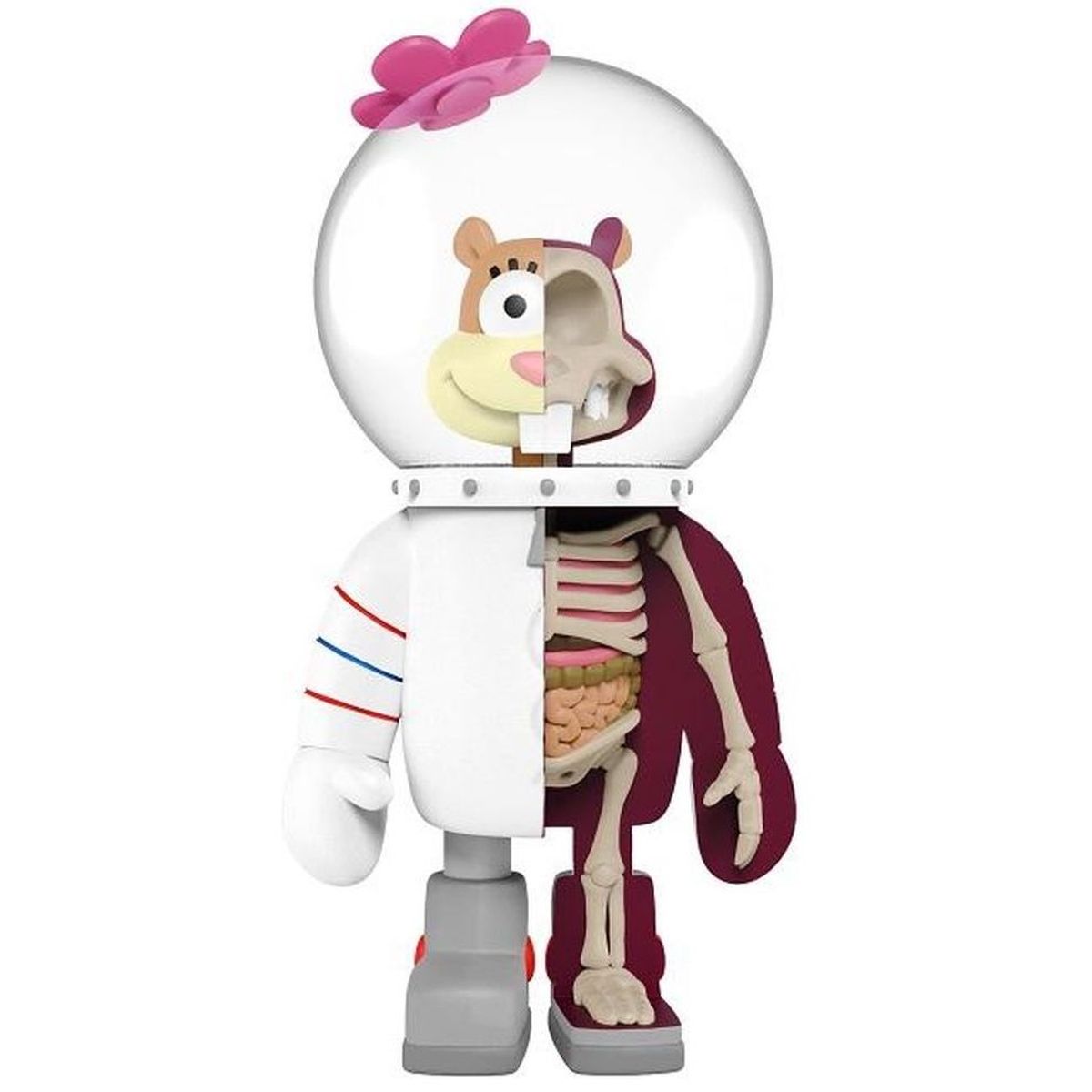 XXRay Spongebob Squarepants - Sandy