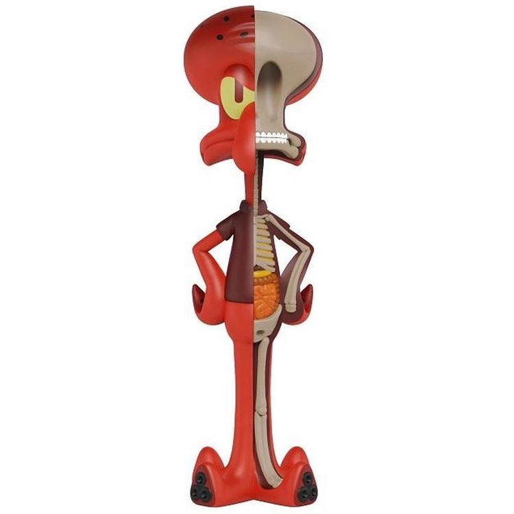 XXRay Spongebob Squarepants - Squidward (angry) by Nickelodeon