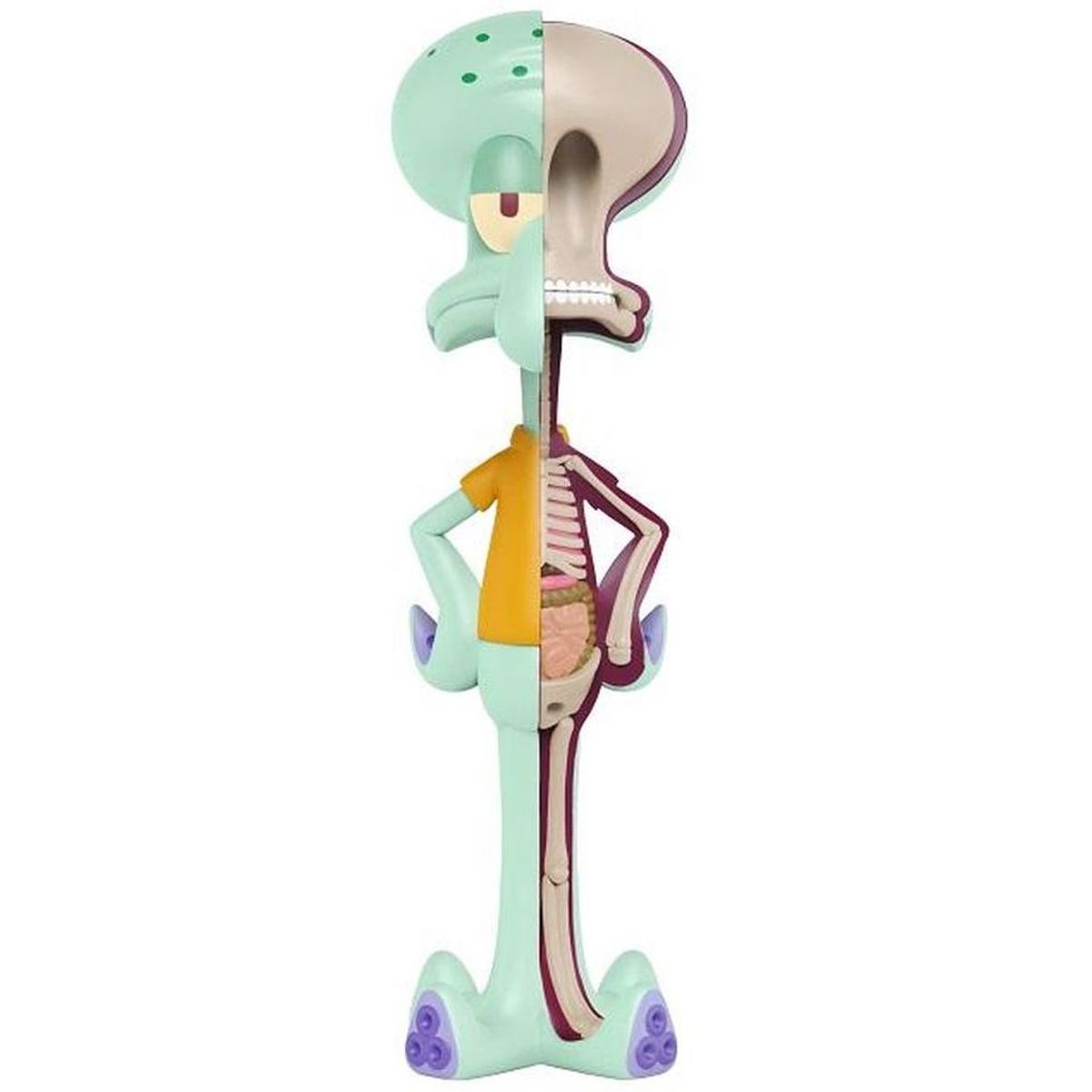 XXRay Spongebob Squarepants - Squidward
