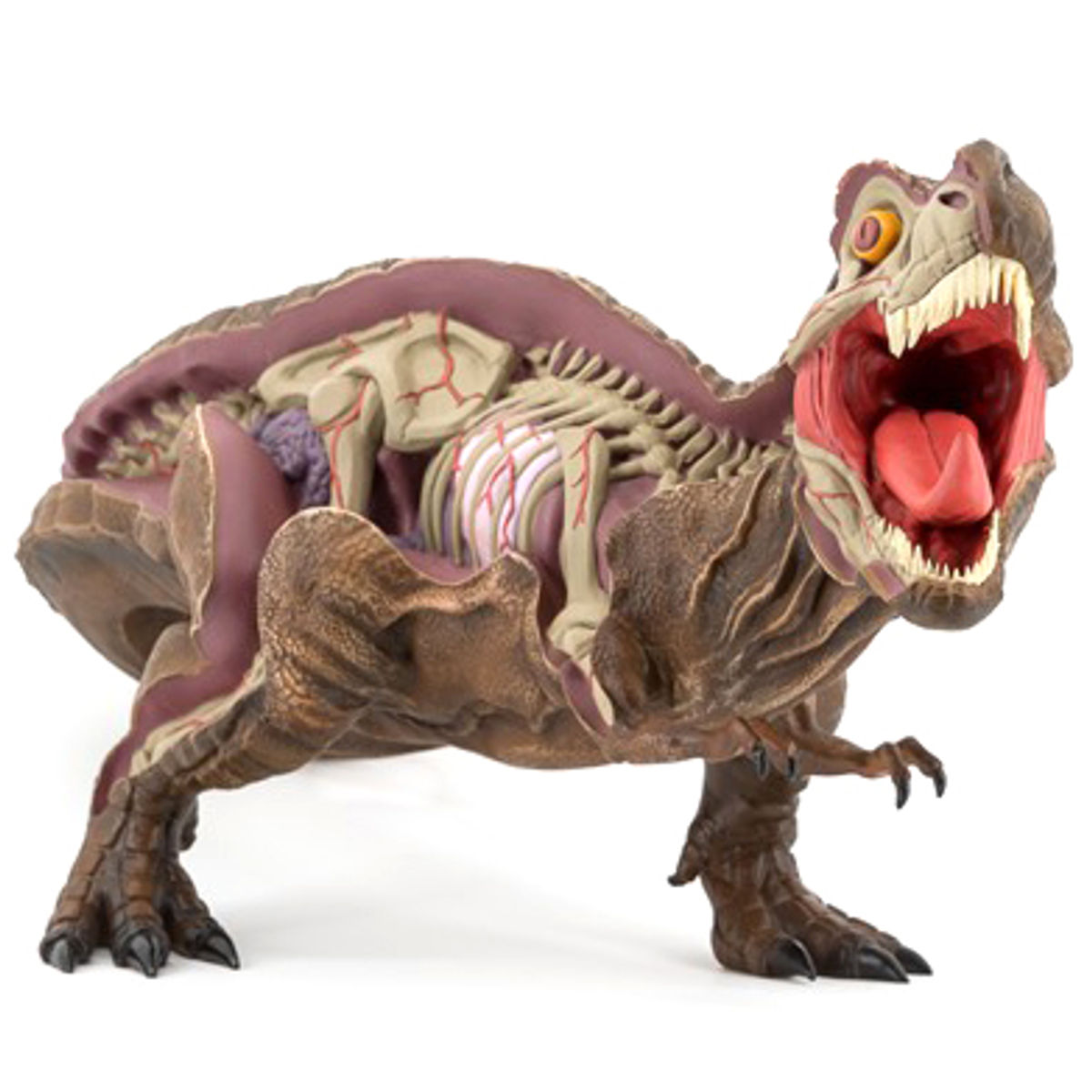 Dissected TRex