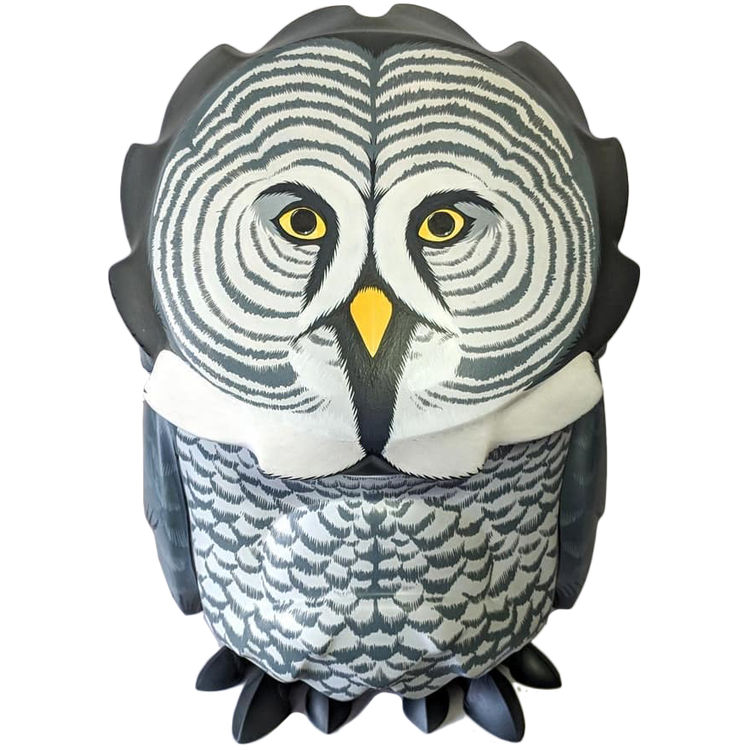 Great Grey Owl by Jon-Paul Kaiser