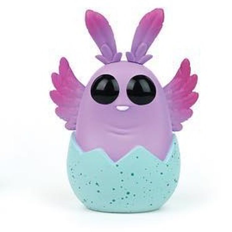 Chicory by Chris Ryniak
