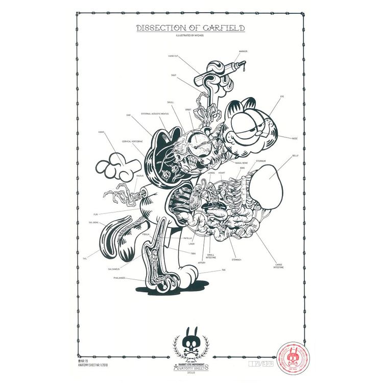 ANATOMY SHEET - NO.19 by Nychos