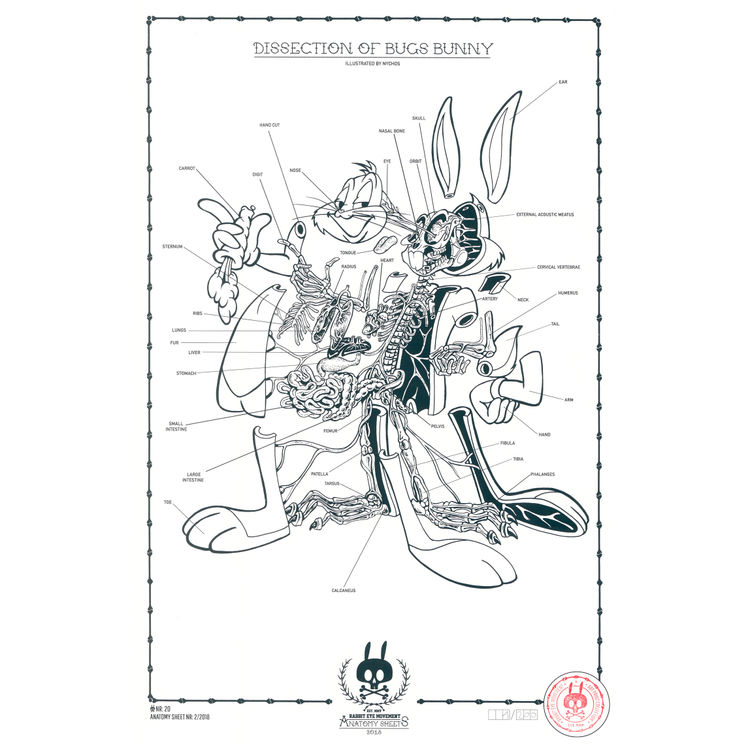 ANATOMY SHEET - NO.20 by Nychos